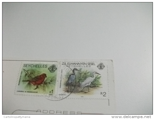STORIA POSTALE FRANCOBOLLO COMMEMORATIVO UCCELLI BIRD  SEYCHELLES MAHE SEEN FROM CERF ISLAND THRU PARCHER LEAVES - Seychelles