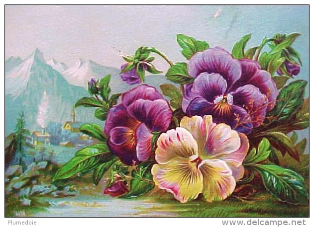 CHROMO XIX ° Gaufrée BOUQUET De PENSEES & MONTAGNES 1885 , Embossed  Old Scrap Flowers PANSIES Recto Verso  Prix Fixe - Fleurs