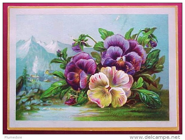 CHROMO XIX ° Gaufrée BOUQUET De PENSEES & MONTAGNES 1885 , Embossed  Old Scrap Flowers PANSIES Recto Verso  Prix Fixe - Flowers