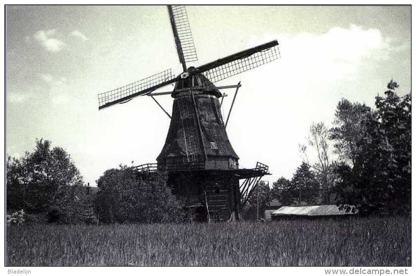 NOORDSCHESCHUT Bij Hoogeveen (Drenthe) - Molen/moulin - Historische Opname Van De Verdwenen Molen "De Korenbloem" (1940) - Hoogeveen