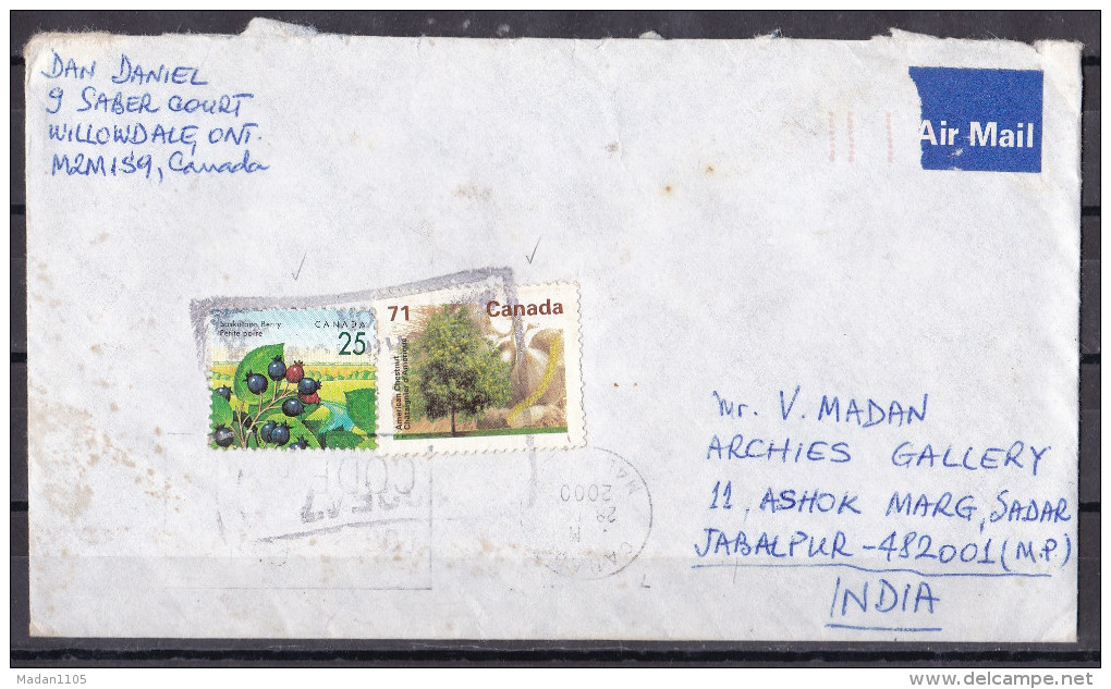 CANADA, 2000, Airmail Cover From Canada To India,  2 Stamps, Fruit, Tree - Briefe U. Dokumente