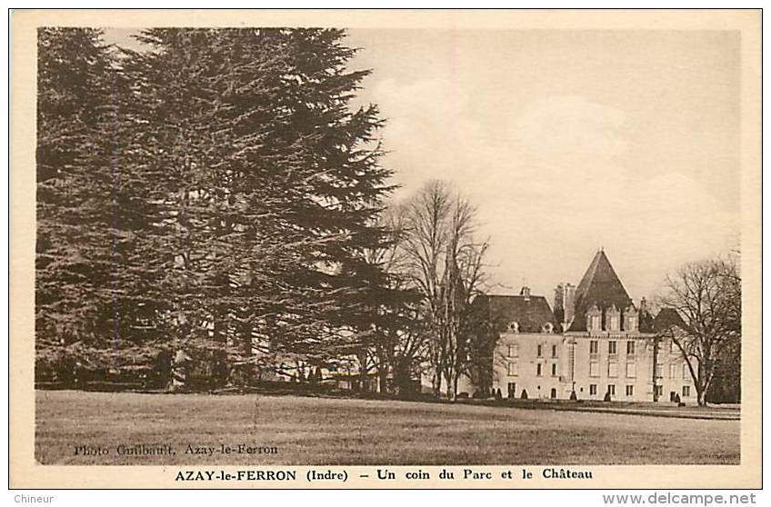 AZAY LE FERRON UN COIN DU PARC ET LE CHATEAU - Autres & Non Classés