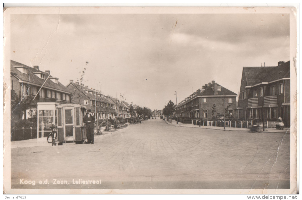 Koog A.d Zaan Leliesstraat - Zaanstreek
