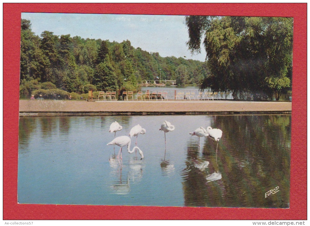 Saarbrucken --  Deutsch Franzosischer Garten --   --   S 424  --ruckseite Beschadig - Saarbruecken