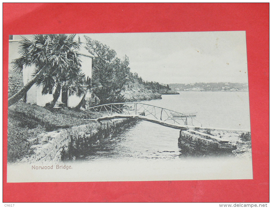 BERMUDA / BERMUDES    1902   NORWOOD BRIDGE   CIRC NON EDITION - Bermudes