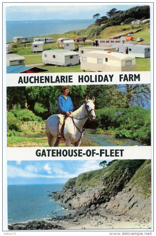 GATEHOUSE OF FLEET : AUCHENLARIE HOLIDAY FARM - Kirkcudbrightshire