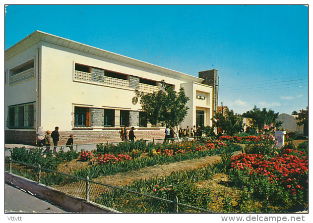 ALGERIE - M'SILA : La Poste, The Post Office,  Edit. SNED (circulée) Cachet Postal Azazga, 2 Scans - M'Sila