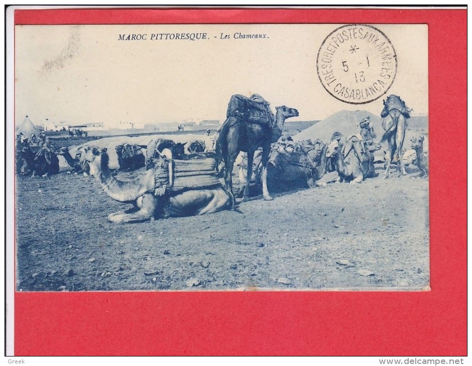 Kameel, Chameau, Camel / Maroc Pittoresque, Les Chameaux (1913) - Autres & Non Classés