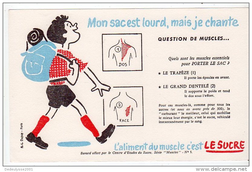 Juil16    75631     Buvard  L´aliment Du  Muscle C´est Le Sucre   Un Marcheur - Sport