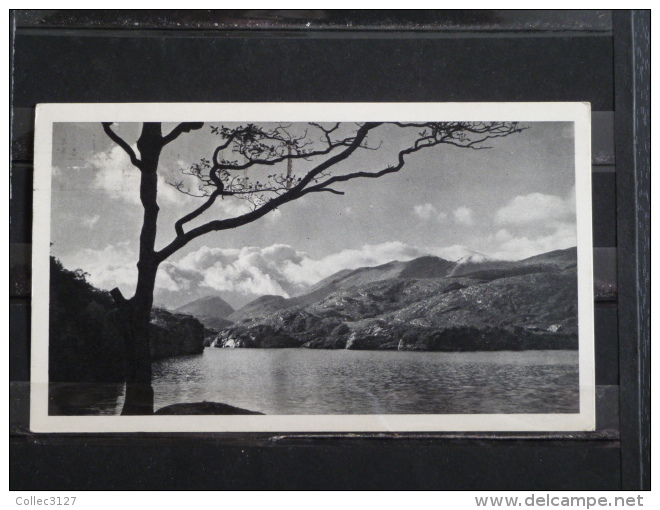 Pub Plasmarine Et Ionyl- 1951 - Eire - Upper Lake - Cartas & Documentos