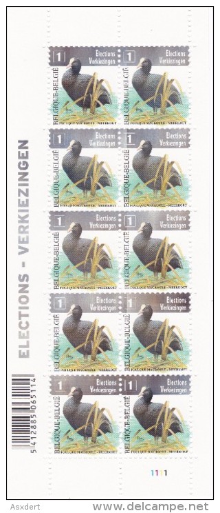 4042 ** - POSTFRIS - VEL - FEUILLET - MEERKOET - ELECTIONS - BUZIN  Pl.1 - Full Sheets And Panes