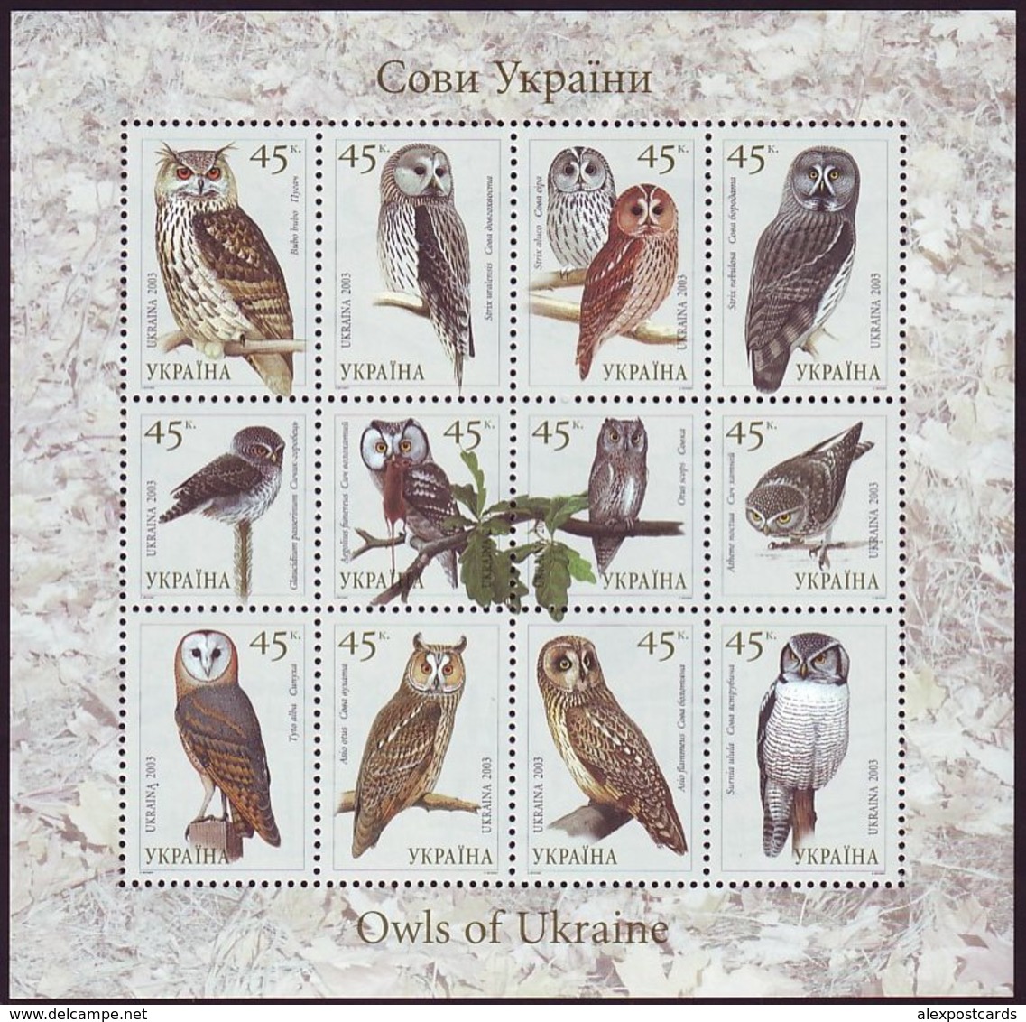 UKRAINE 2003. BIRDS. OWLS. Mini-sheet Of 12 Stamps. Mi-Nr. 574-85. Mint (**) - Uilen