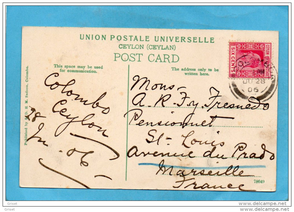 CEYLON-Colombo-bullock Cart -gros Plan- Attelage De Buffles-a Voyagé Pour Françe En 1906-Bel Affranchissement - Sri Lanka (Ceylon)