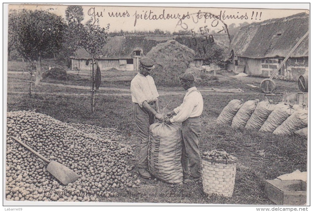 BENAY -(27)- EN NORMANDIE - LE CIDRE- MISE EN SAC DES POMMES. - Bernay