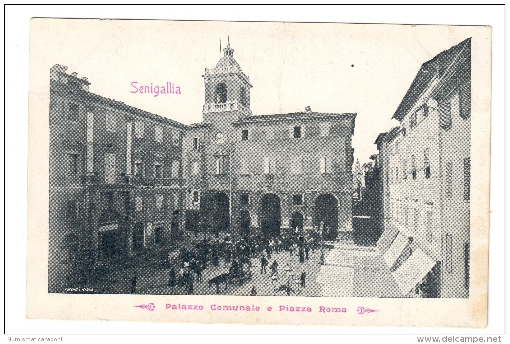 Senigallia Palazzo Comunale E Piazza Roma Non Viaggiata COD.C.1913 - Senigallia