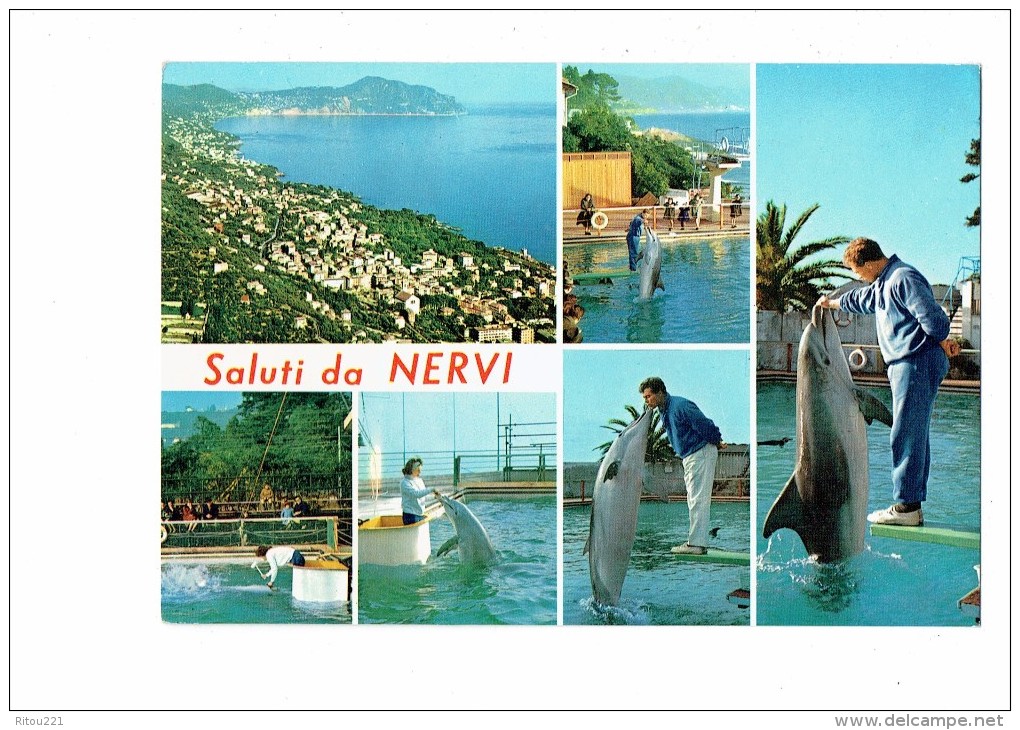 Cpsm - Saluti Da NERVI - Italie - Multivues - Dauphin Spectacle Animation - Dauphins