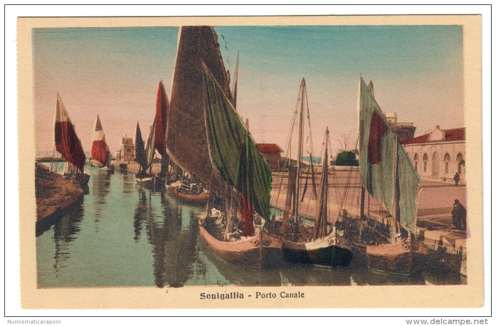 Senigallia Porto Canale Non Viaggiata COD.C.1921 - Senigallia