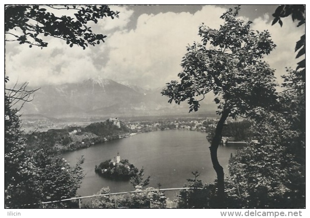 Postcard RA007836 - Slovenija (Slovenia) Bled (Veldes) - Slovenia