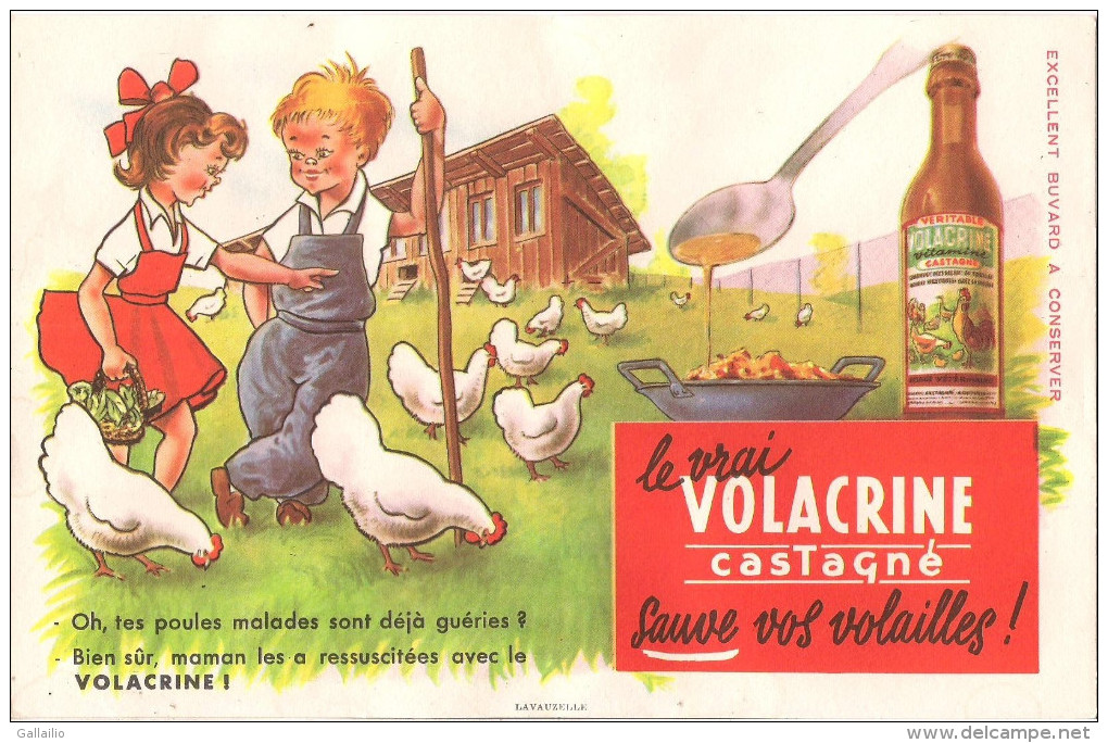 BUVARD VOLACRINE CASTAGNE SAUVEZ VOS VOLAILLES - Agriculture