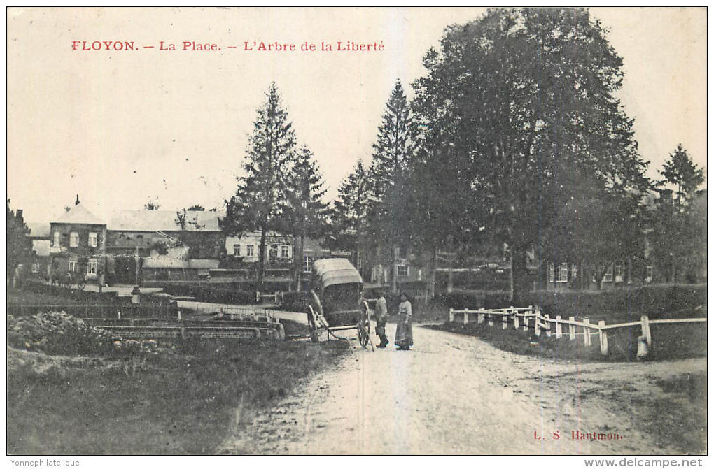 59 - NORD - Floyon - Place - Arbre De La Liberté - Autres & Non Classés