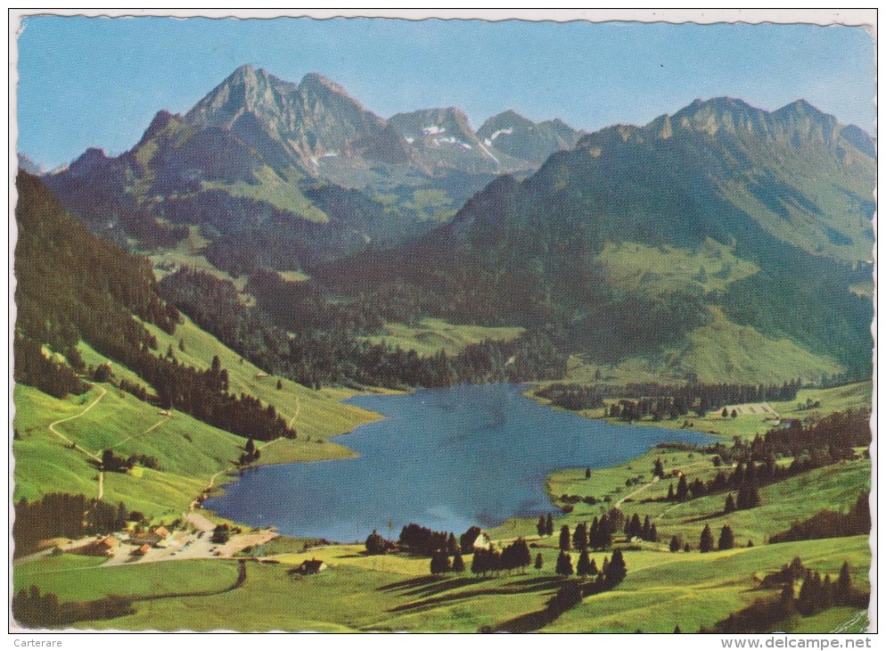 SUISSE,SCHWEIZ,SVIZZERA,SWITZERLAND,HELVETIA,SWISS,FRIBOURG,SCHWARZSEE,lac Noir,lac Naturel,il Y A 50 Ans - Fribourg