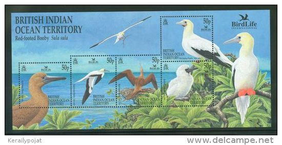 British Indian Ocean - 2002 Birdlife Block MNH__(THB-2107) - Britisches Territorium Im Indischen Ozean