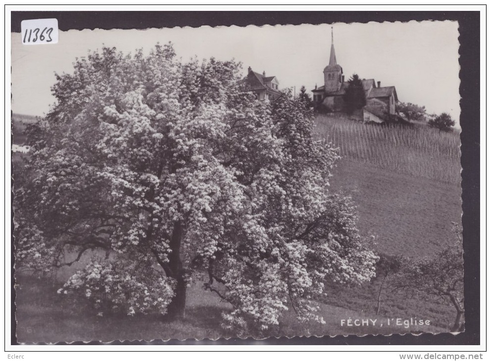 FORMAT 10x15 Cm - DISTRICT D´AUBONNE - FECHY - L'EGLISE - TB - Féchy