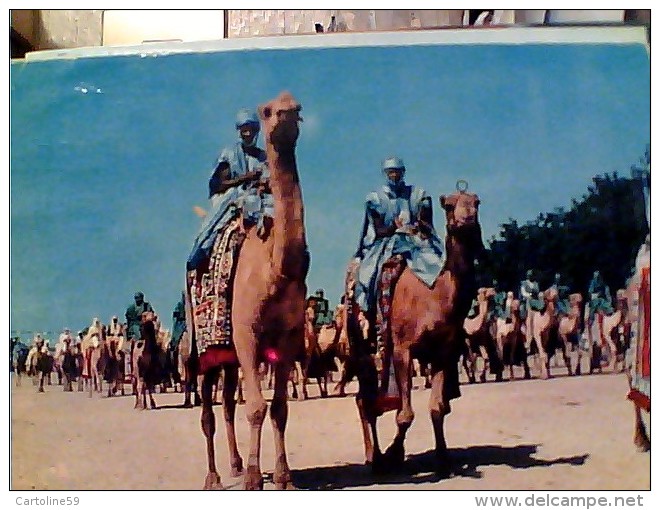 NIGERIA TUAREG CAMMELLI  JAHI AT KANO  V1964   FN3446 - Nigeria