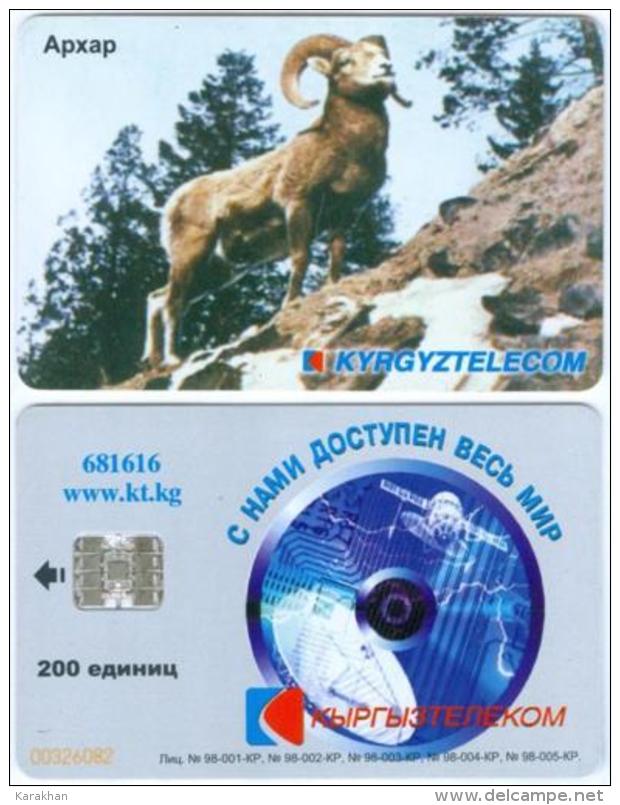 KYRGYZSTAN: Used Phone Card With Chip *MOUNTAIN SHEEP*Arkhar* KyrgyzTelecom - Autres & Non Classés