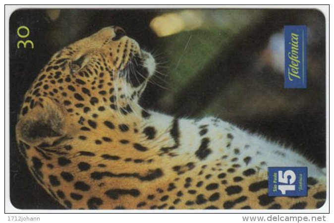 BRASIL C-642 Magnetic Telefonica - Animal, Cat, Leopard - Used - Brésil