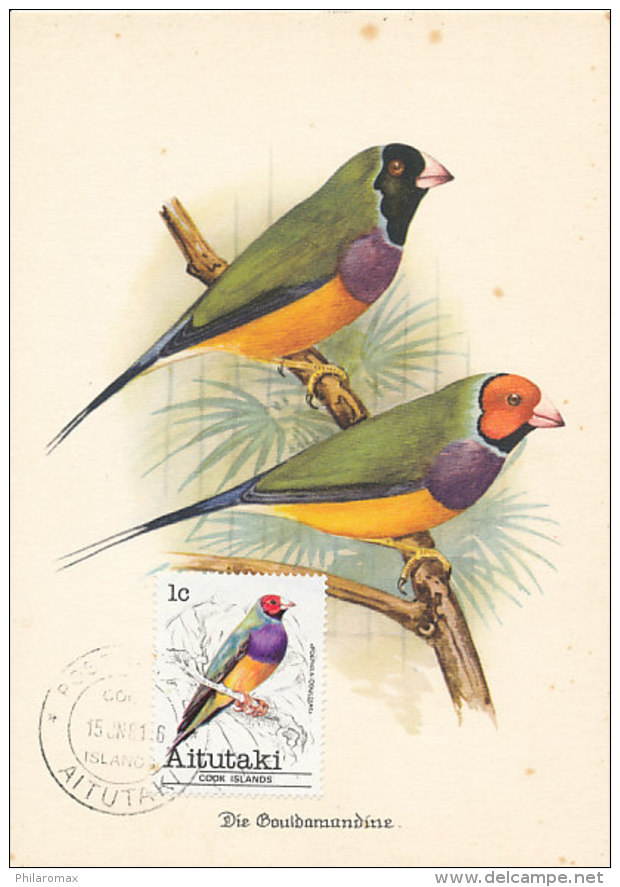 D24326 CARTE MAXIMUM CARD 1981 AITUTAKI - POEPHILA LONGTAILED FINCH CP ORIGINAL - Songbirds & Tree Dwellers