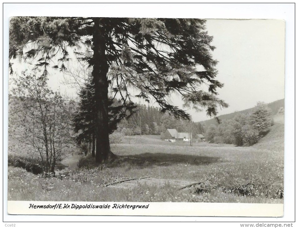 Hermsdorf E Kr Dippoldiswalde Richtergrund 1968 - Hermsdorf