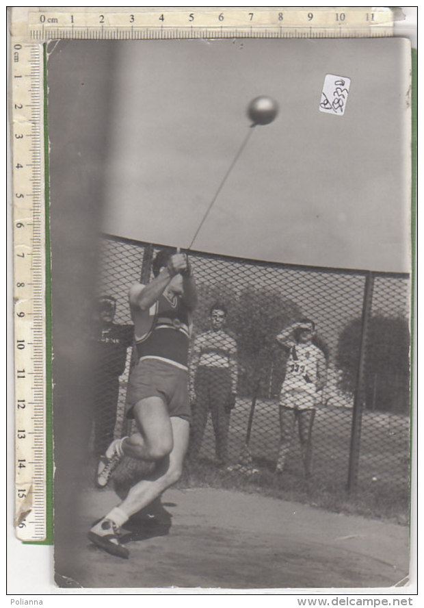 PO5833D# FOTOGRAFIA Anni '60 - ATLETICA LANCIA TORINO - LANCIO DEL MARTELLO - BASTINO - Atletica