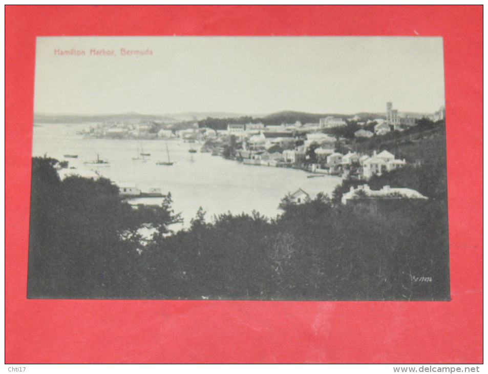 BERMUDA / BERMUDES    1902   HAMILTON HARBOR    CIRC NON EDITION - Bermudes