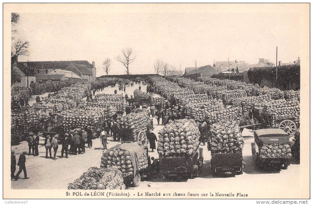 29-SAINT POL DE LEON- LE MARCHE AUX CHOUX FLEURS SUR LA NOUVELLE PLACE - Saint-Pol-de-Léon