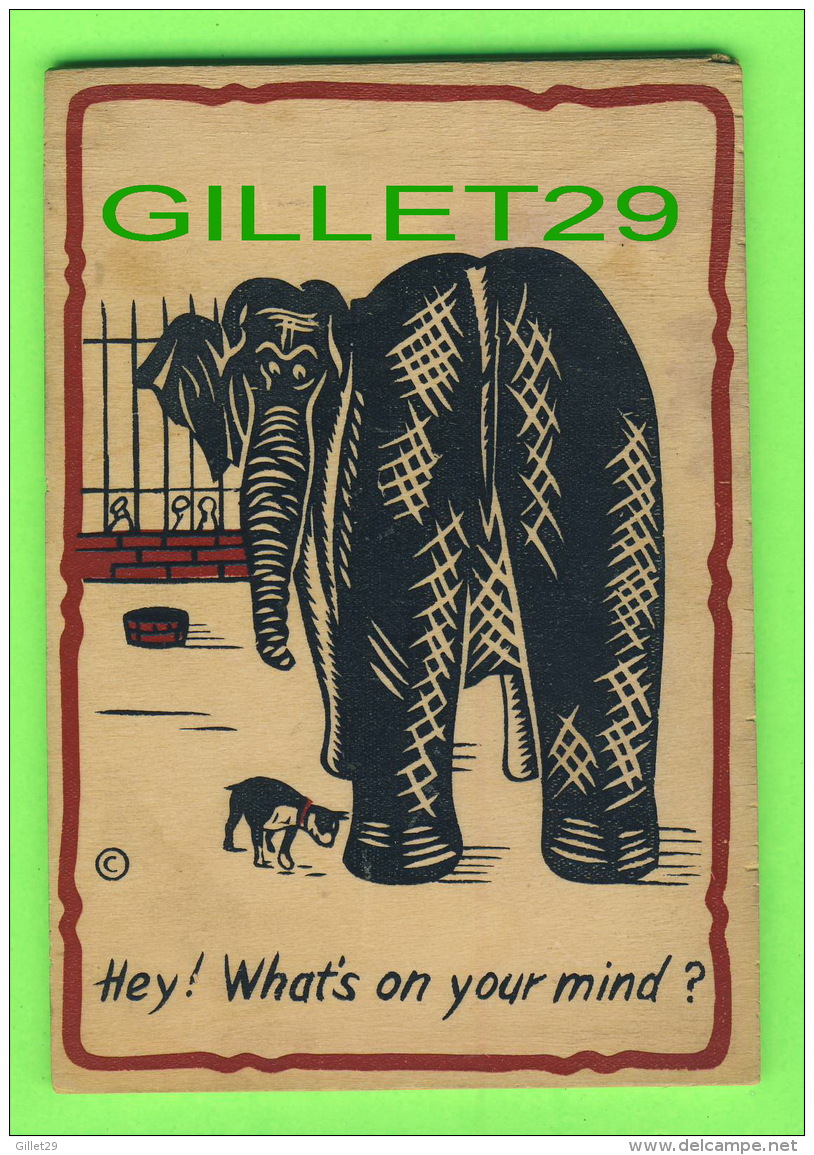 CARTES EN BOIS - ELEPHANT - HEY ! WHAT'S ON YOUR MIND - TRAVEL IN 1947 - - Autres & Non Classés