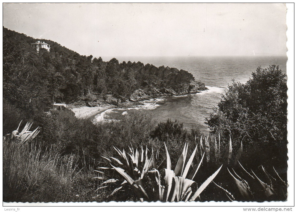 CP - PHOTO - CORNICHE DES MAURES - LE RAYOL - UNE CALANQUE - 10 - LEMAIRE - Otros & Sin Clasificación