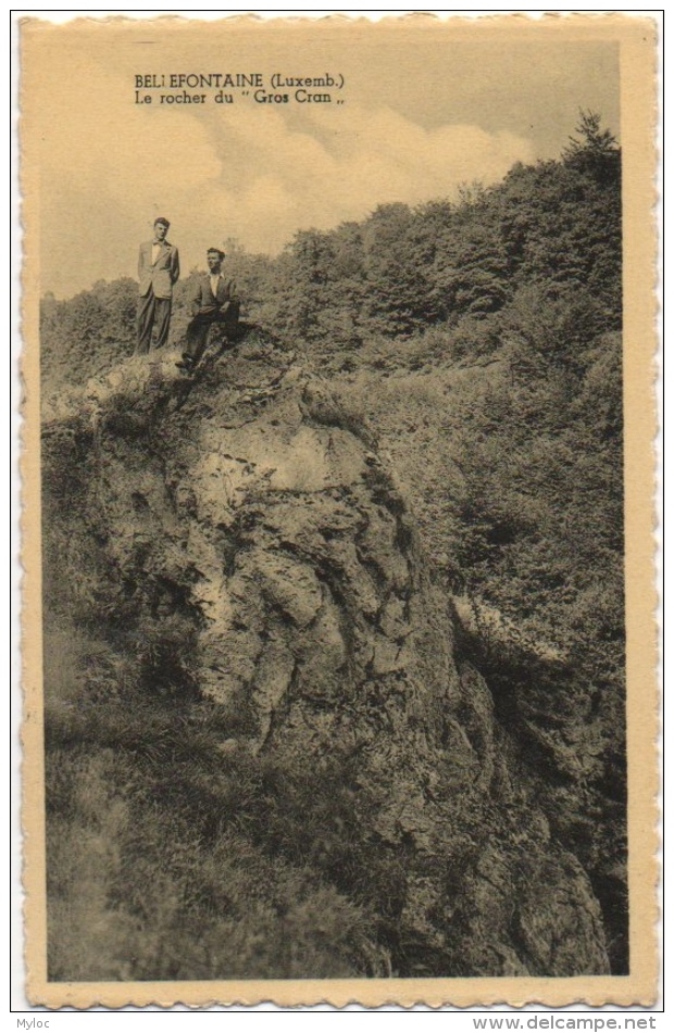 Bellefontaine. Le Rocher Du "Gros Cran". - Tintigny