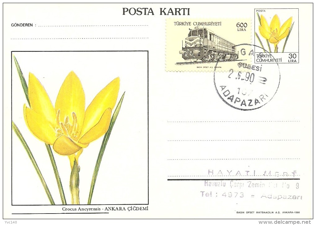Turkey; 1988 Postal Stationery - Ganzsachen
