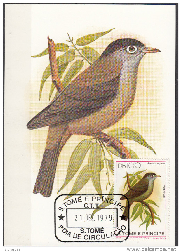 546 S. Tomè E Principe 1979 Birds FDC Speirops Lugubris Passeri Uccelli Tropicali Maximum Card Maxi - Moineaux