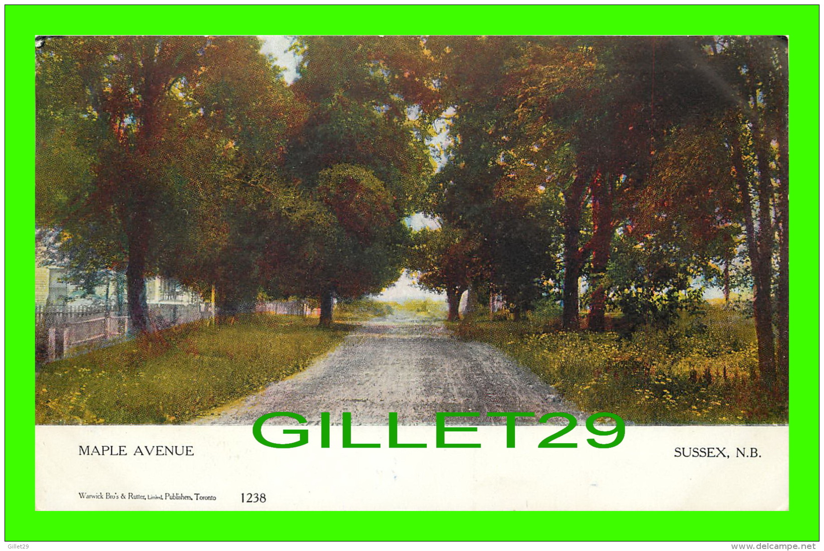 SUSSEX, NEW BRUNSWICK - MAPLE AVENUE - WARWICK BROS &amp; RUTTER LIMITED - CANADIAN SOUVENIR POST CARD - - Autres & Non Classés