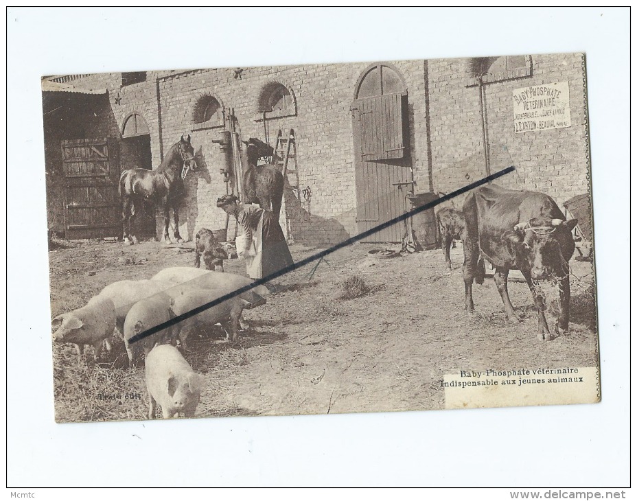 CPA  à Identifier "Panneau Au Mur : Baby Phosphate Vétérinaire -  Beauval (cochon,cheval,vaches ) - Beauval