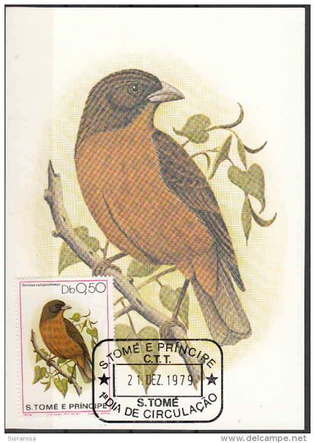 541 S. Tomè E Principe 1979 Birds FDC Serinus Passeri Uccelli Tropicali Maximum Card Maxi - Sparrows