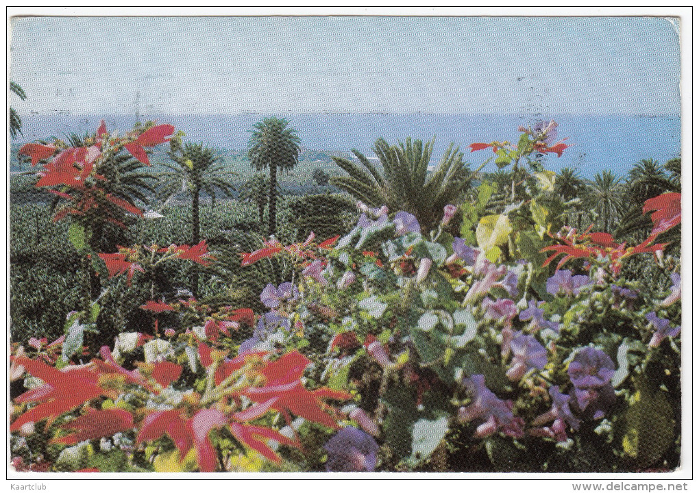 Kanarische Inseln - La Gomera ( 'Lord Extra - Auf Den Kanarischen Inseln Besonders Günstig') - Gomera