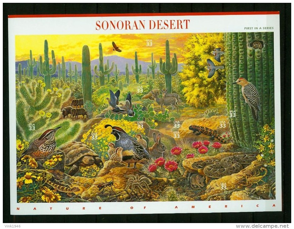 USA United States 1999,10V In Sheetlet,birds,vogels,ois Eaux,vögel,Sonoran Desert,MNH/Postfris, (L2410u - Andere & Zonder Classificatie