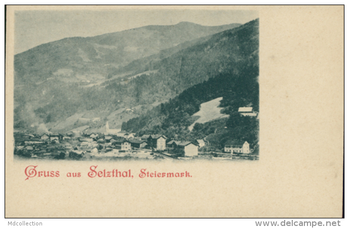 AT SELZTHAL / Steiermark / - Selzthal