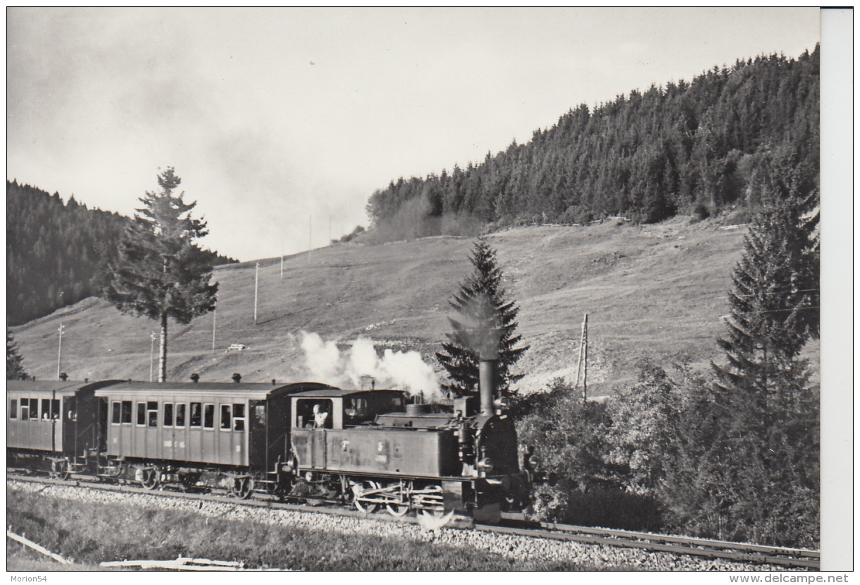 Biberbrugg - Einsiedeln  E 3/3 Mit Personenzug  /  Train à Vaeur - Dampfeisenbahn - Einsiedeln