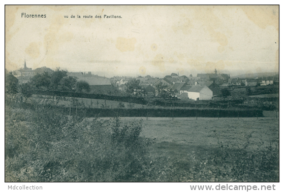 BELGIQUE FLORENNES / Vue De La Route Des Pavillons / - Florennes