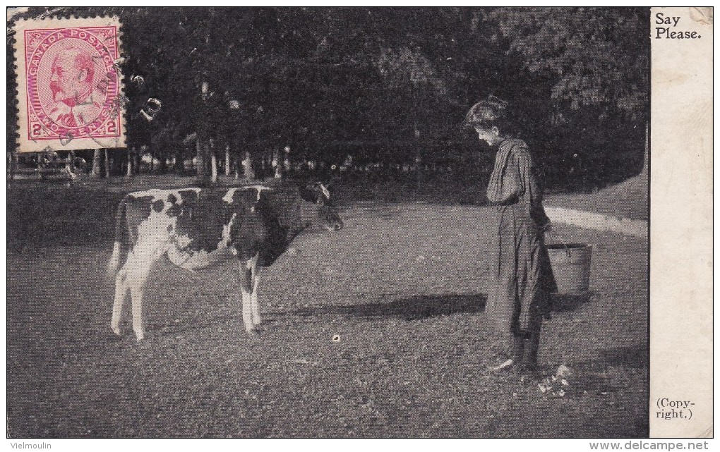 CANADA A DECOUVRIR SAY PLEASE FEMME ET VACHE BELLE CARTE RARE !!! - Autres & Non Classés