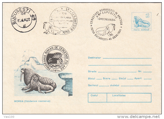 ROMANIAN ARCTIC EXPEDITION, GREENLAND, WHALE, WALRUS, COVER STATIONERY, ENTIER POSTAL, 1994, ROMANIA - Arctische Expedities